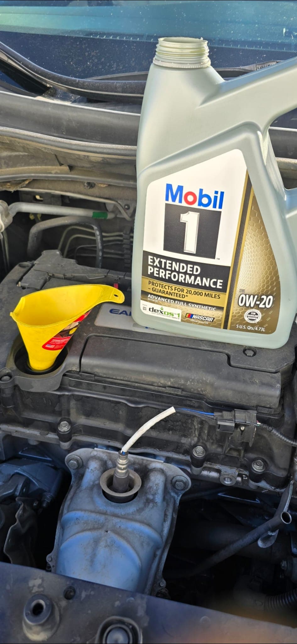 Oil change with Mobil 1 synthetic